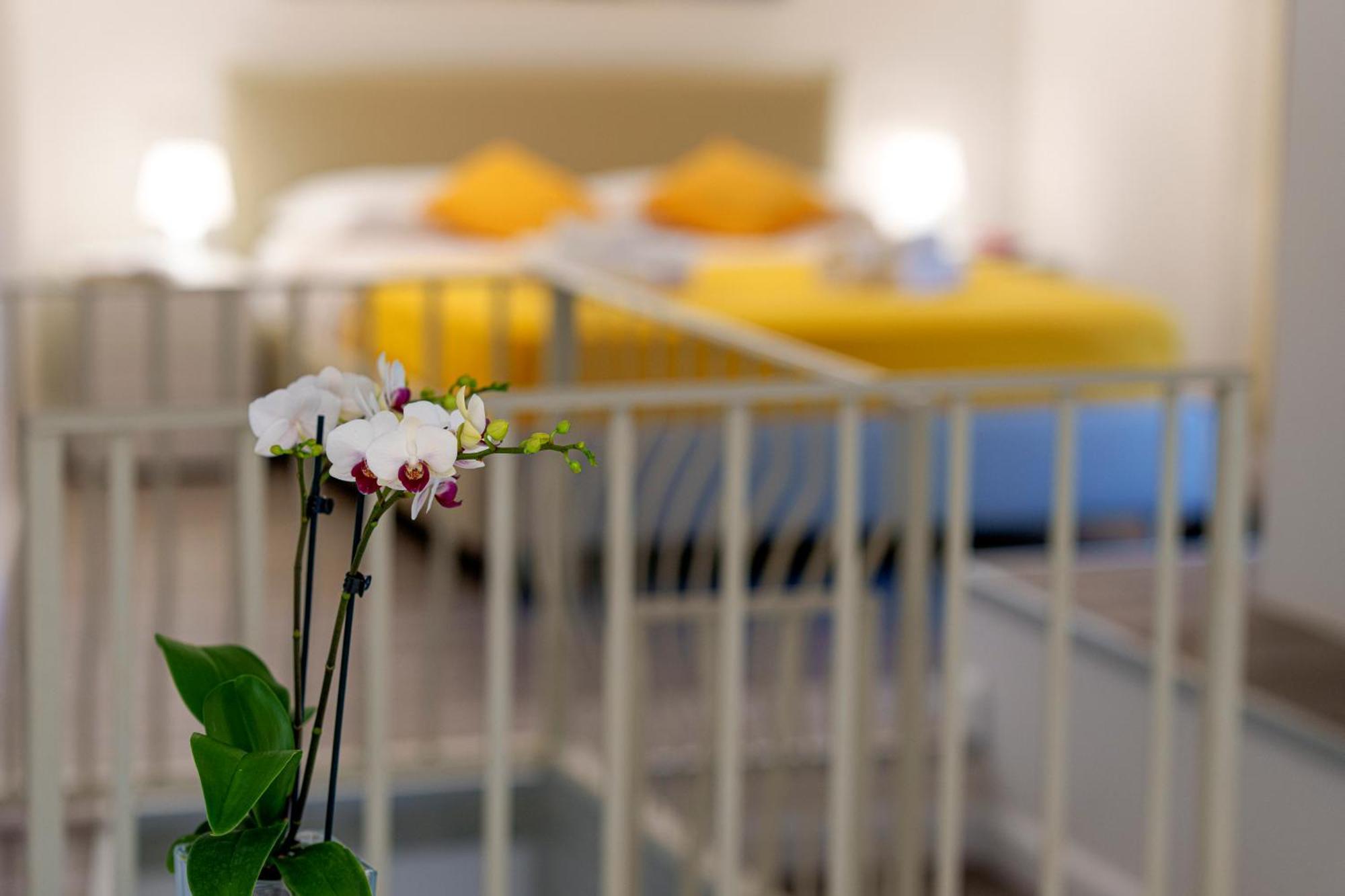 סן אנג'לו Holidays Homes The Dream מראה חיצוני תמונה